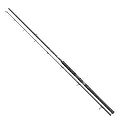 Cormoran Big Cat Pro Long Range 300cm 200-600g
