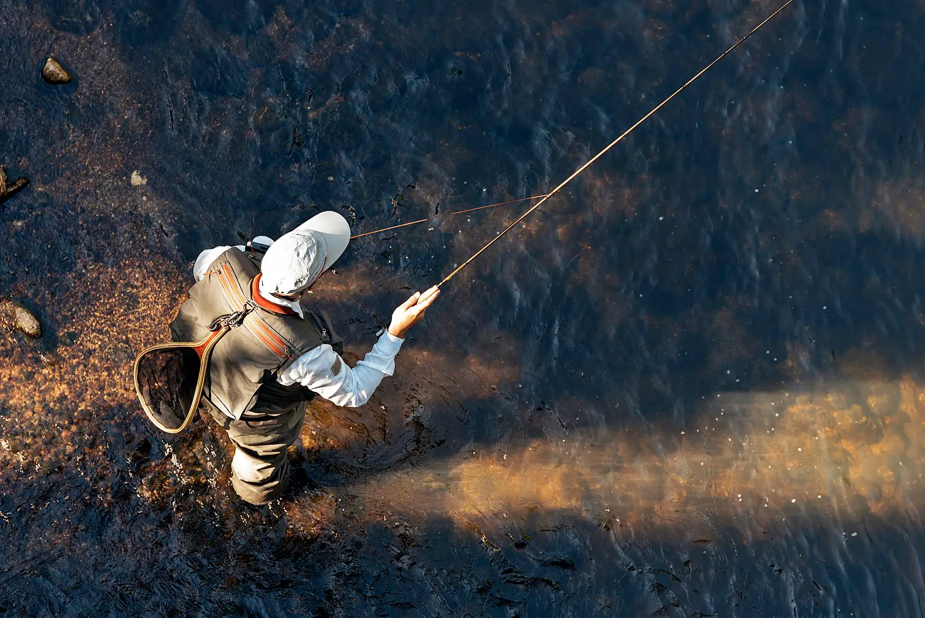 Angelgeräte-Verkaufsgeschäft 39 Angelgeräte-Verkaufsgeschäft -Angelgeräte-Verkaufsgeschäft 4