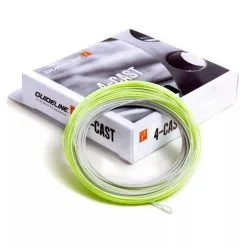 Guideline 4-Cast WF F/S3