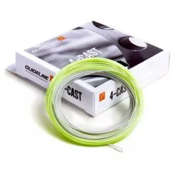 Guideline 4-Cast WF F/S5