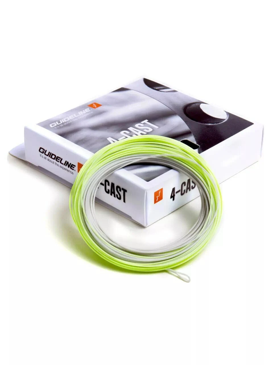 Guideline 4-Cast WF F/S1 3 Guideline 4-Cast WF F/S1