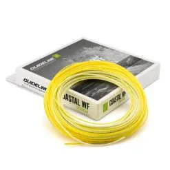 Guideline Coastal Evolve WF Floating Fliegenschnur