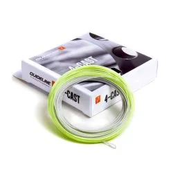 Guideline 4-Cast WF-F