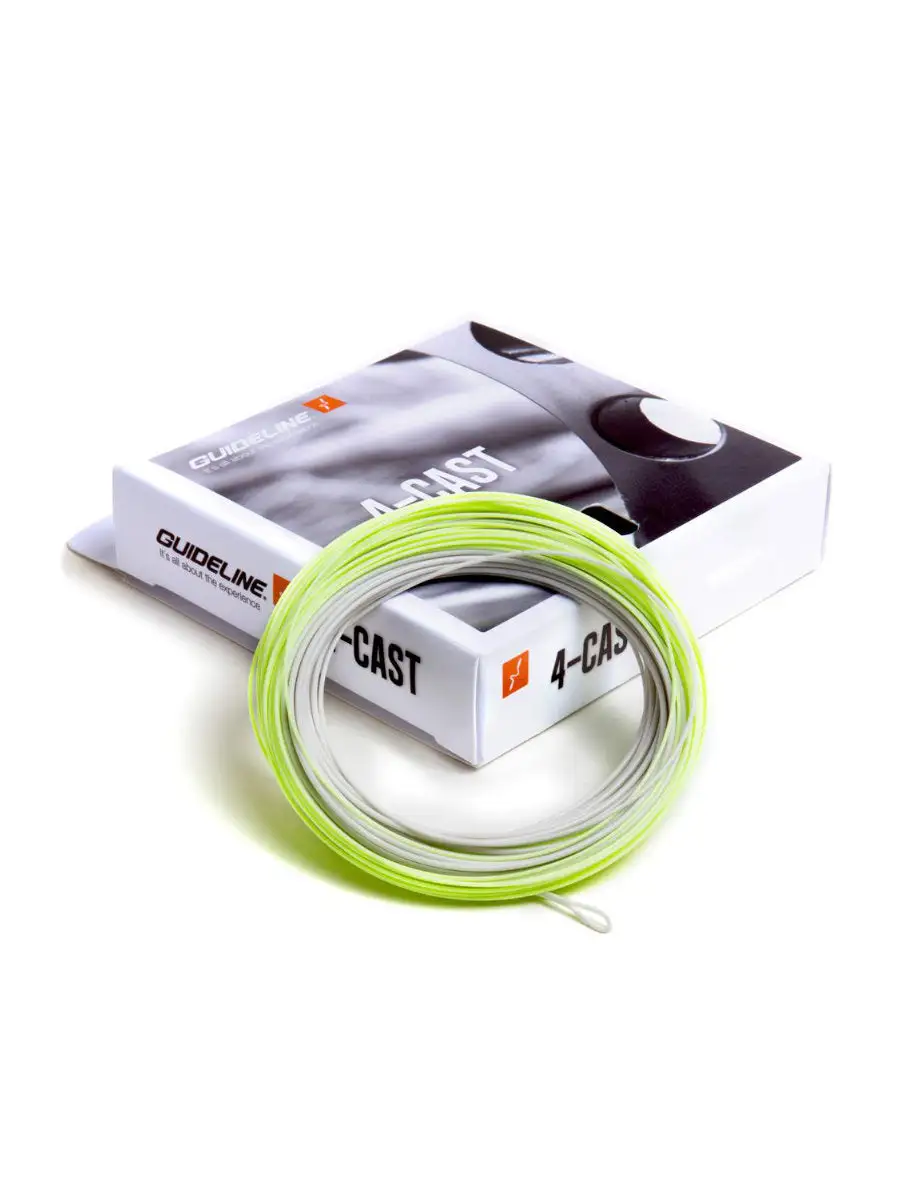 Guideline 4-Cast WF-F 3 Guideline 4-Cast WF-F