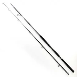Shimano BeastMaster Catfish Static 300cm -300g