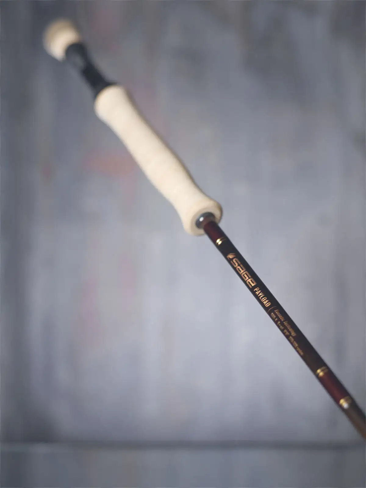 SAGE Payload 3 SAGE Payload