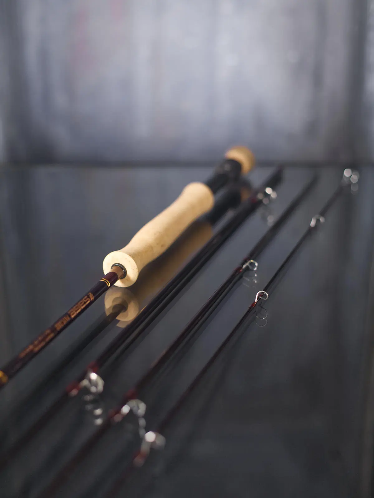 SAGE Payload 5 SAGE Payload – Bild 3